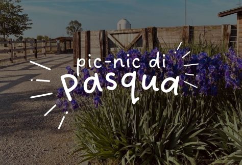 pic-nic di pasqua