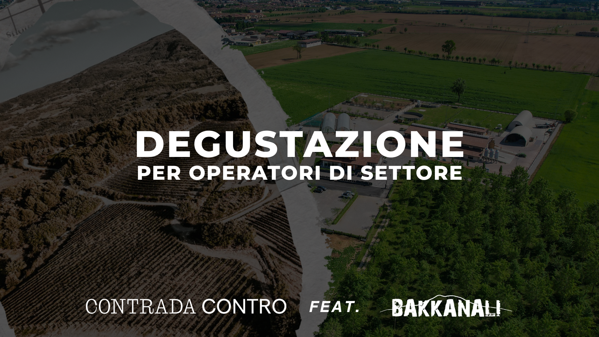 degustazione vini con contrada contro e bakkanali