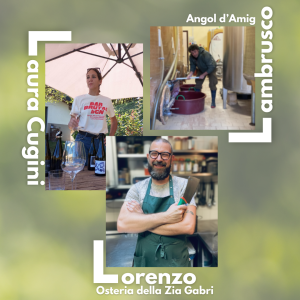degustazione vini e pranzo lungo al colmetto