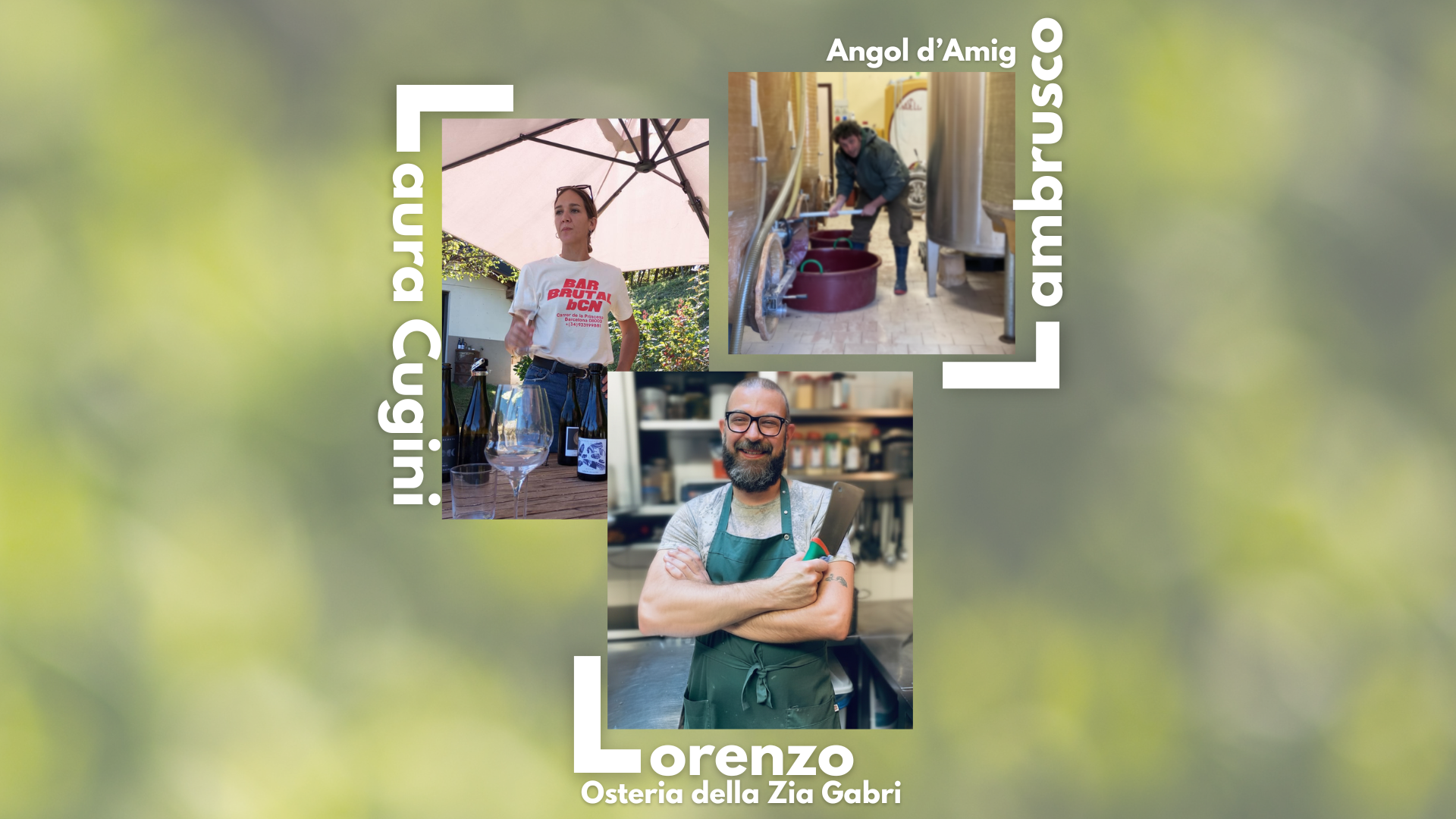 degustazione vini e pranzo lungo al colmetto