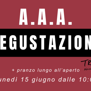 degustazione vini e pranzo lungo al colmetto triple a