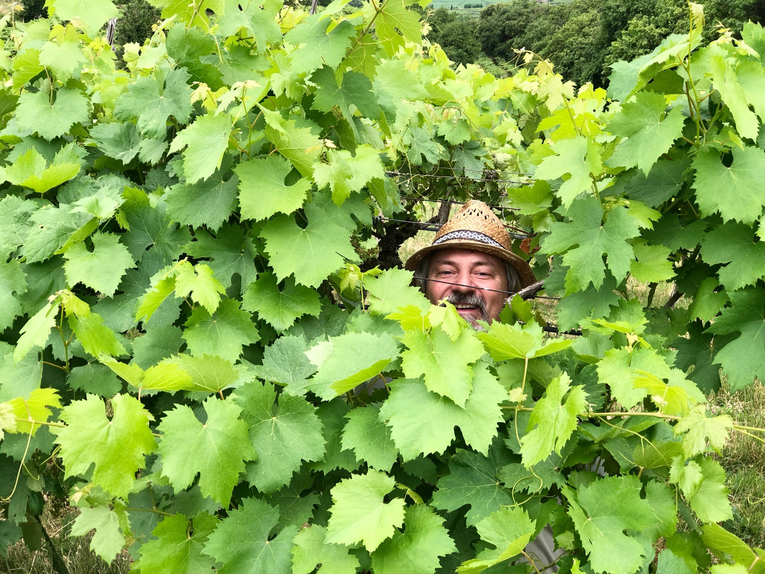 degustazione vini e pranzo lungo al colmetto triple a