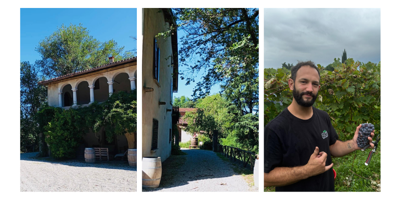 degustazione cantina la torre al colmetto