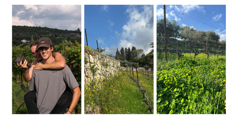 degustazione san dionigi al colmetto