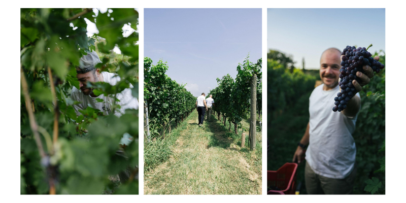 degustazione tenuta la cà al colmetto